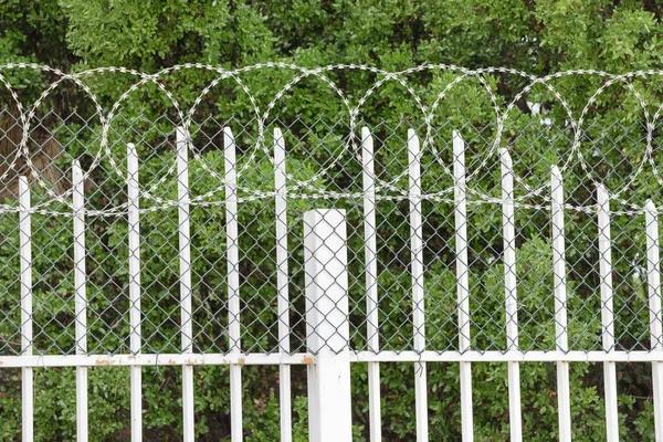 Affordable Fencing Solutions That Don’t Break the Bank